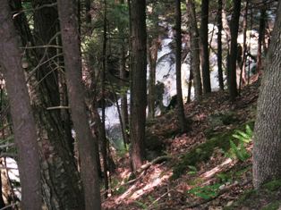 view from the Hamitlon Falls trail
